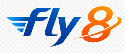 fly 8